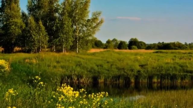 ВАЛЬС ЛЕТА смотреть онлайн