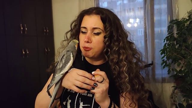 Попугай Корелла Люцифер говорит новое слово и мы не понимаем какое. смотреть онлайн