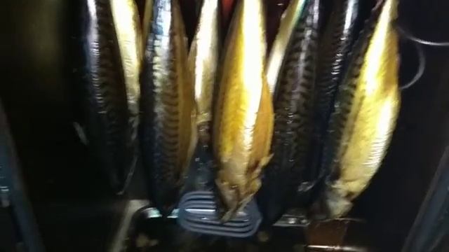 Скумбрия горячего копчения, рецепт и способ приготовления