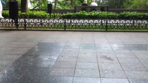 Одесса. Приморский бульвар. Обычное утро. Odessa Primorsky Bulvar.