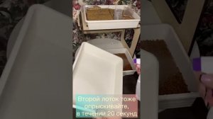 Выращивание микрозелени дайкон на кокосовых ковриках