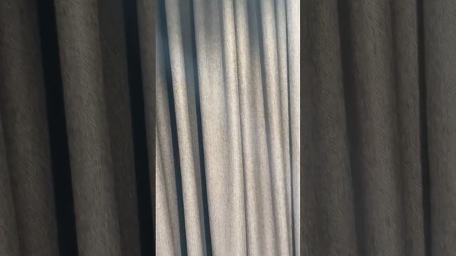 Шторы в кабинет из шерсти.MOV
