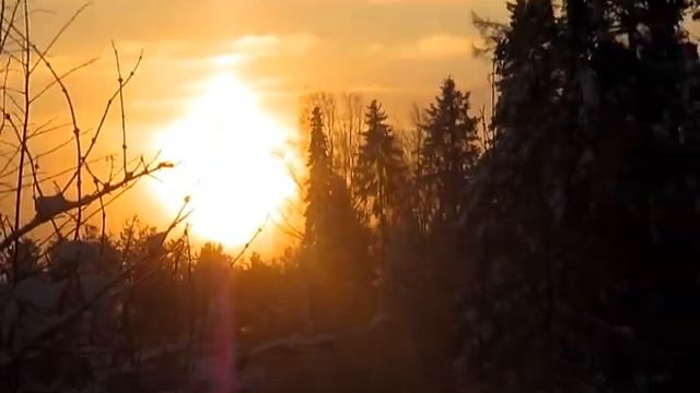 Над колыбелью леса - Автор музыки и исполнитель Аверьянов Сергей смотреть онлайн