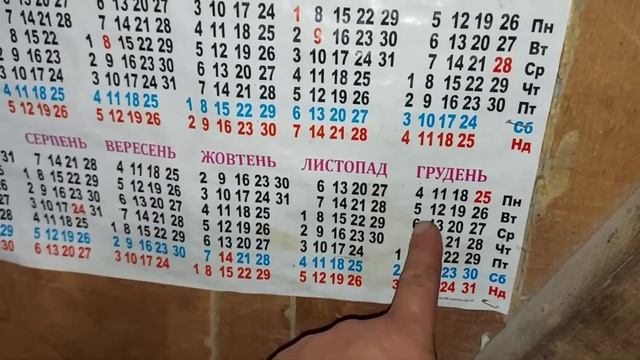 Половина срока прошло. Будем готовиться. смотреть онлайн