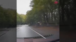 Ветром унесло?