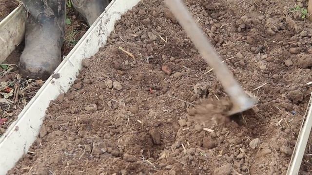 Посев Салата и Укропа. Способ для Ленивых. Севооборот в Теплице.