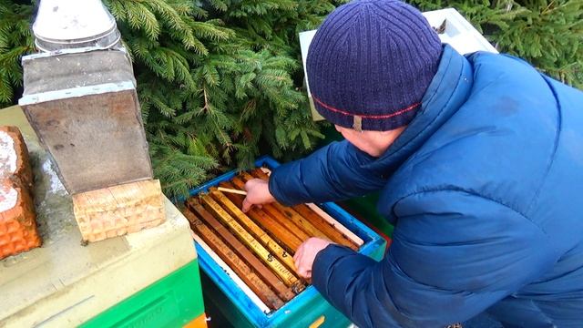 Расход корма в омшанике и на воле, в Медведях смотреть онлайн