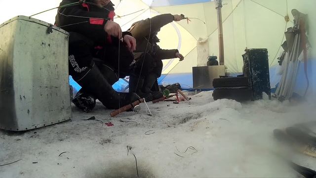 Навага после нереста. Бешеный клев. #часть 2 смотреть онлайн