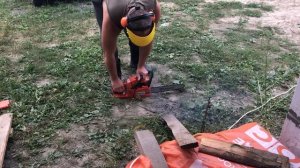 Новое приобретение - Husqvarna 120 Mark II - тестовый запуск и пропил