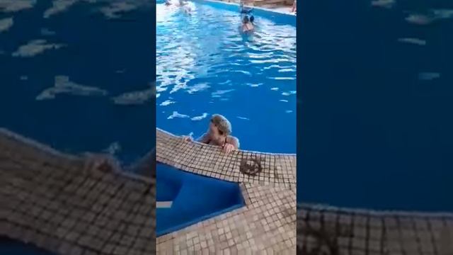 Отдых в санатории, Приморье, Славянка