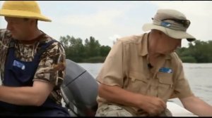 Рыбалка. Ловля сома на Дону.