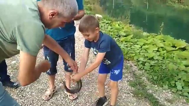 База отдыха "Цыца" смотреть онлайн