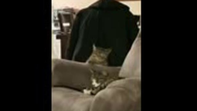 на чеку