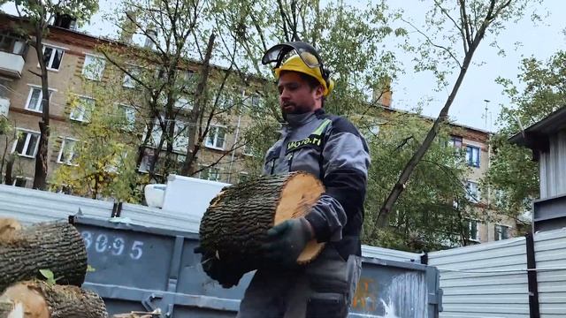 Расчистка участка под строительство многоэтажного дома! Большой выпуск. Работает Wolfa ?