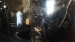 КАК ХРАНИТЬ СУШЕНЫЕ ГРИБЫ!!!2020.СЕКРЕТ!!!