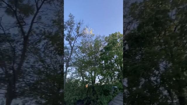 ?? Летний вечер в парке Цицернакаберд | Summer evening in Tsitsernakaberd park смотреть онлайн