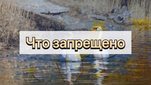 9 апреля народный праздник ДЕНЬ МАТРОНЫ. Что нельзя делать. Народные приметы и обычаи.