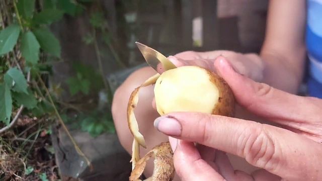 Ах картошка, объеденье! смотреть онлайн