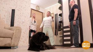 Дмитрий Талабуев собаке друг. Доброе утро. Фрагмент выпуска от 08.07.2019