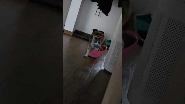 1000002252.mp4 смотреть онлайн