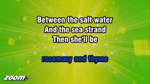 Simon And Garfunkel - Scarborough Fair - Karaoke Version from Zoom Karaoke