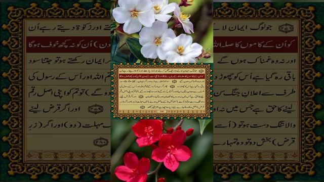 Quran pak tarjuma // urdu // part 98