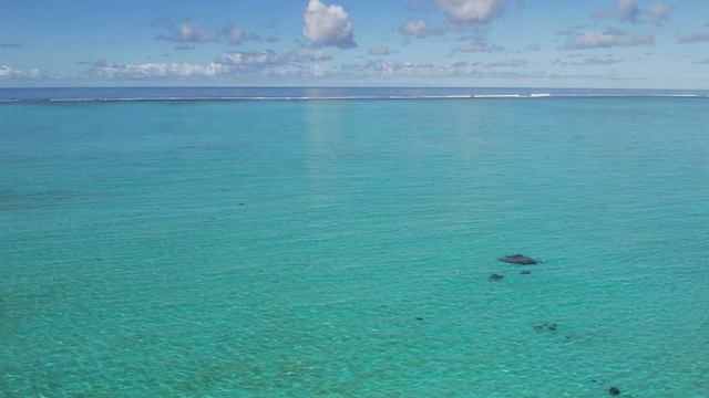 the moelnaff adventure ( nouvelle caledonie ) смотреть онлайн