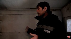Спортивные голуби-родословные.