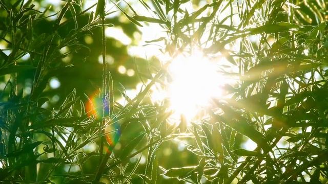 25 сентября - Очень тяжёлый день. Проведите практику для защиты | Лунный Календарь смотреть онлайн