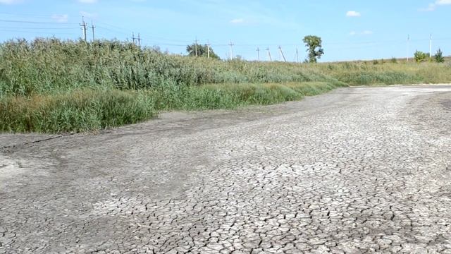 Ужас,река мёртвой рыбы.мик-он Заводской пересохшее озеро.Каменск-Шахтинский... смотреть онлайн