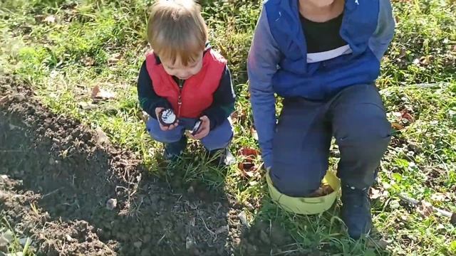 Обзор строительства! Поездка на дачу, сажаем чеснок всей семьëй! смотреть онлайн
