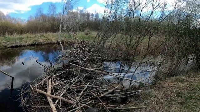Велопоход: Богданов - Гольшаны - Крево - Залесье - Сморгонь. Часть1-я. 07.05.2022г.