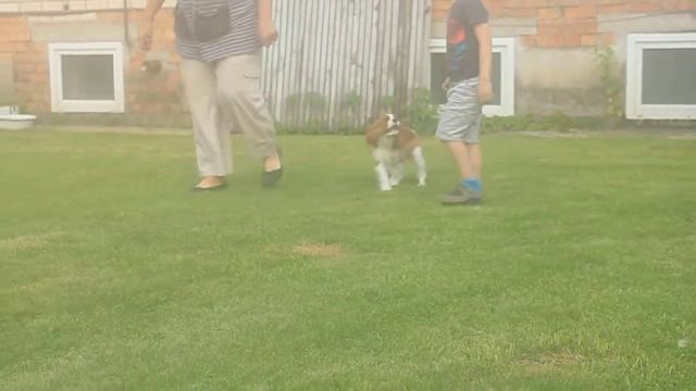 MVI 0069 смотреть онлайн