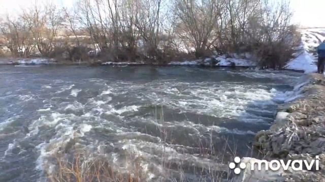 Уровень воды начал подниматься в реке Олым в Липецкой области смотреть онлайн