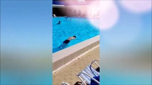 Санаторий "Анапа." Комплекс открытых бассейнов.