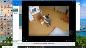 Обзор Программы Remove Logo Now - Удаление Водяного Знака на Видео