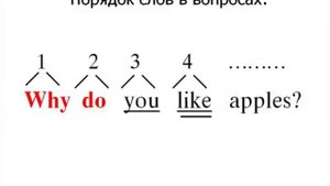 6 Общие вопросы в простом настоящем времени 'Do you    ' 360p