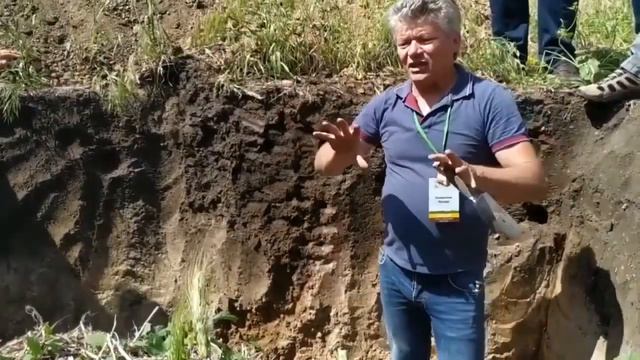 Грядка Хольцера на участке без воды Рекордный урожай дынь #сад #огород #чудо #удобрение  #полив