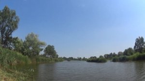 ЛУЧШАЯ НАСАДА ВСЕХ ВРЕМЁН на Карпа.. Как ловить, на что клюет. Ловля карпа