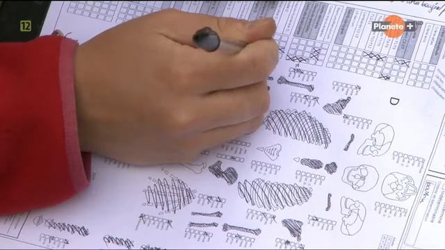 Вся правда о рыцарях тамплиерах ,  La vérité sur les templiers 2013