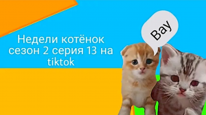 Недели котёнок сезон 2 серия 13 на tiktok