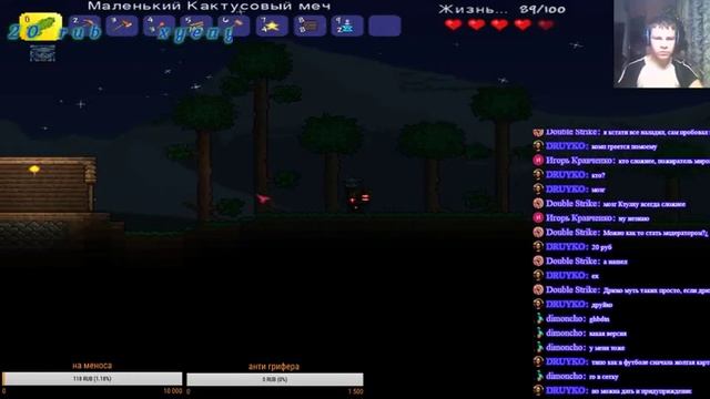 стрим с вебкой по /terraria/ смотреть онлайн