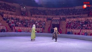 Цирк на Фонтанке "Вместе целая страна"