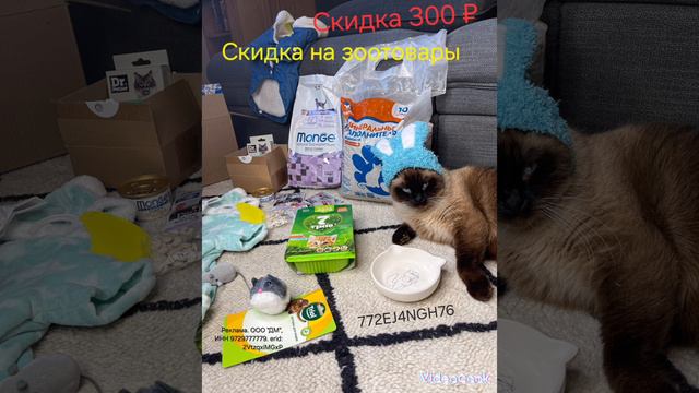 Идеальный кошкин дом 🏠 Немного хвастаюсь👇🏽 смотреть онлайн