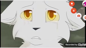 что такое сумрачный лес? (коты воители)