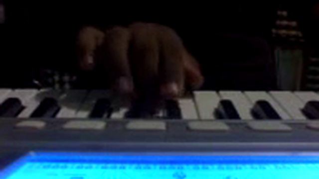 Casio CtK 810 in Progressive Sounds смотреть онлайн