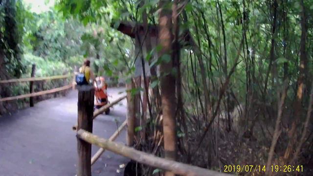 ВЛОГ/VLOG: ДИНО-ПАРК В САФАРИ-ПАРКЕ! АТРАКЦИОНЫ, КРАСНОДАР#ДИНОПАРК#САФАРИПАРК