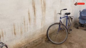 Узбекистан! СВАДЬБА на 1000 гостей! Кто красивее ЖЕНИХ или НЕВЕСТА_ Свадебный ПЛОВ! Термез