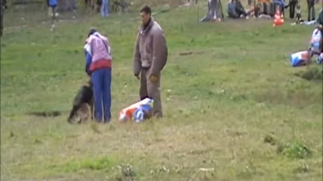 Двоеборье с собаками 🐕🐶 Пермь 05.10.2008 г.