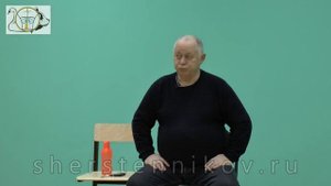 Шерстенников Н.И. Котлы силы.